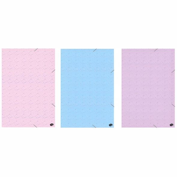 Carpetas Con elastico